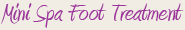 Mini Spa Foot Treatment