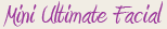 Mini Ultimate Facial